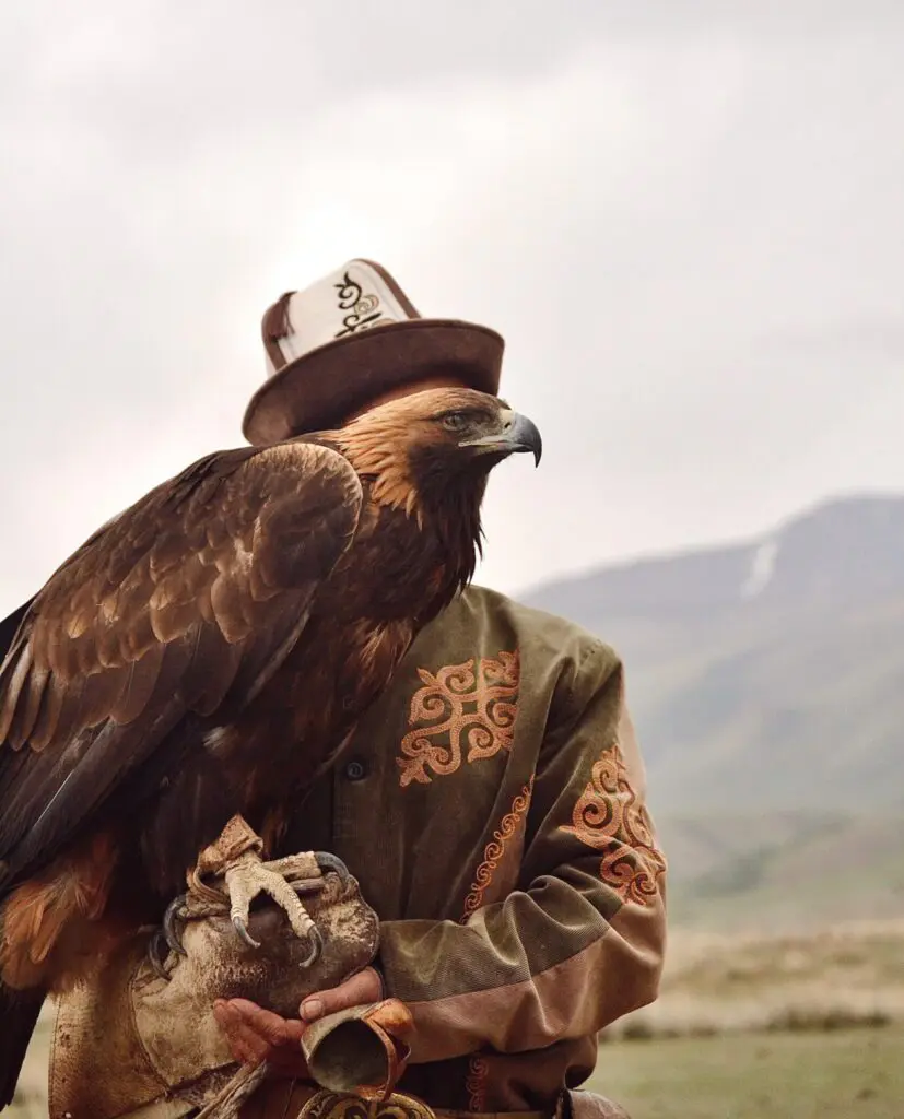 Eagle show