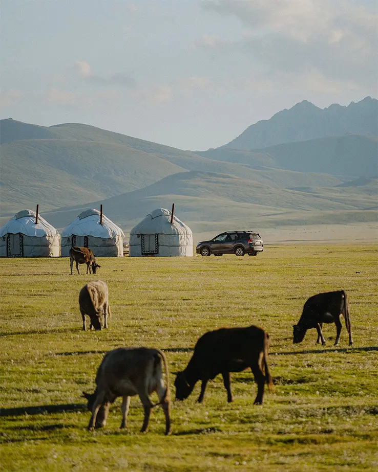Uitzicht op een yurtenkamp rondreis door Kirgizië met Kyrgyzstan Nomads