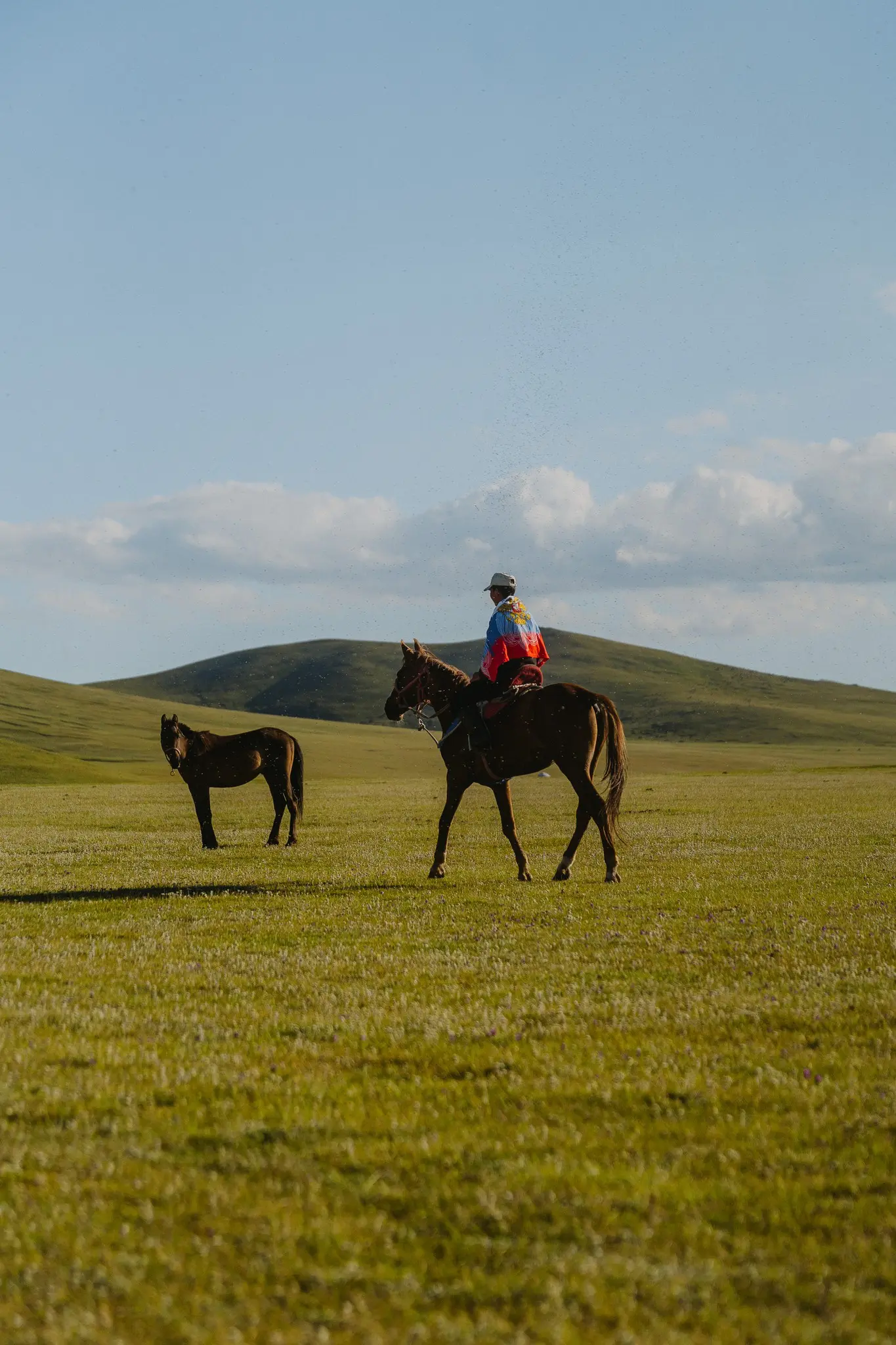 person on horseback in a vast green landscape with another horse