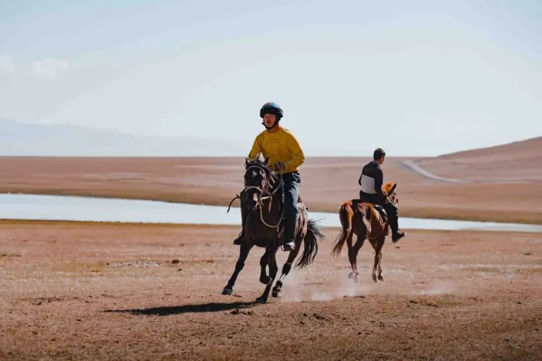 two people riding horses across a vast dry landscape