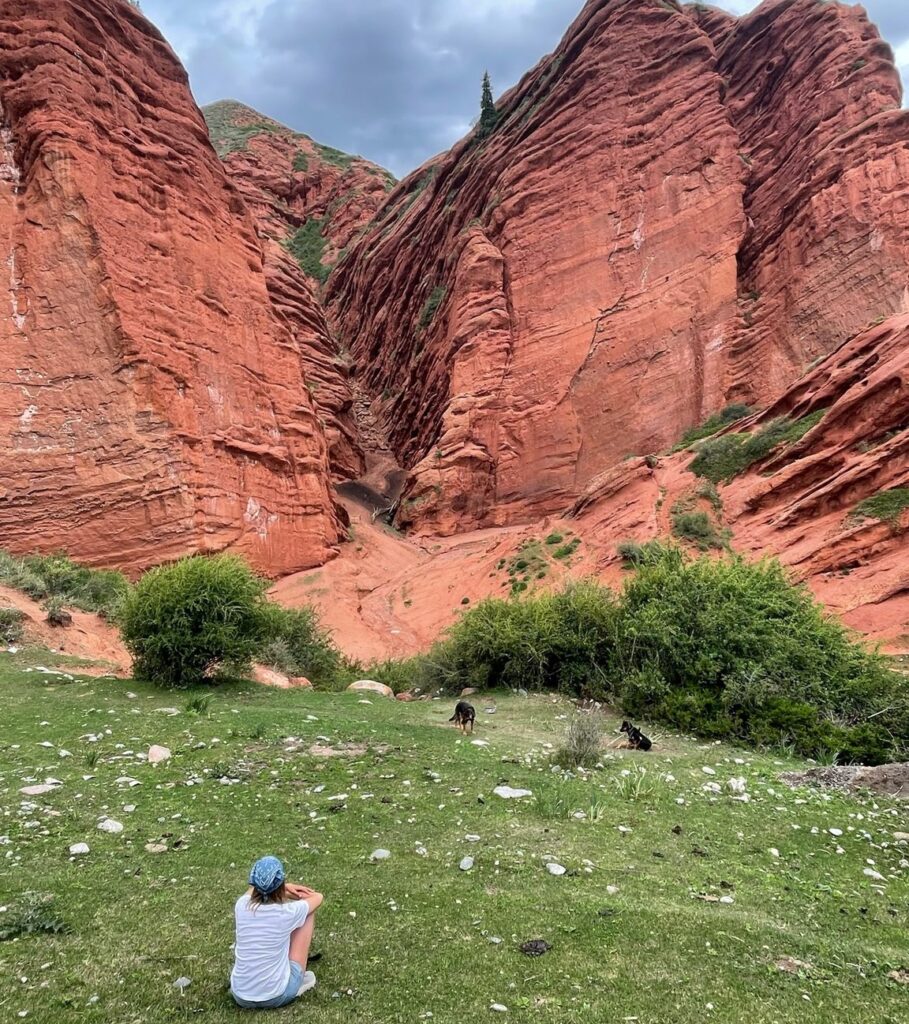 meditating in the nature