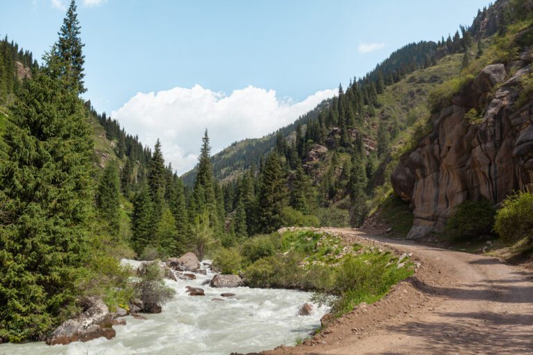 river in the mountain. Dirt trail along the water