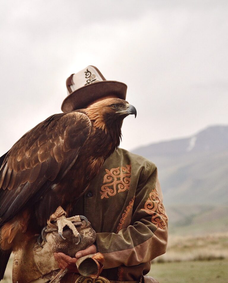 Eagle show